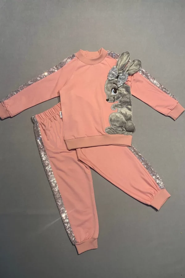 1-2-3 Yaş Payetli Pelüş Tavşan Desenli Likra Penye Kumaş Sweat Pantolonlu Kız 2li Çocuk Takımı Pudra