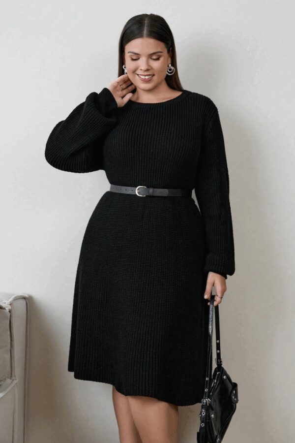 Kadın Uzun Kollu Bisiklet Yaka Eteği Kloş Triko Elbise