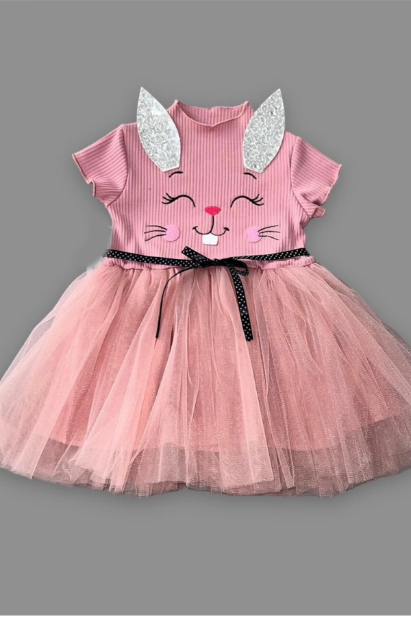 1-2-3 Yaş Payetli Kulak Tavşan Baskılı Kız Bebek Elbisesi Gül Kurusu