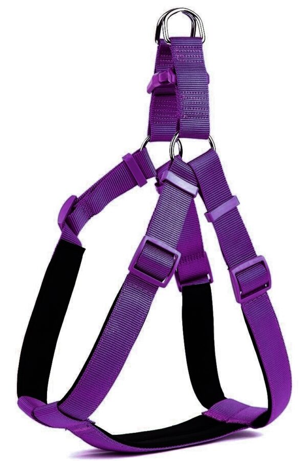 Köpek Bel Tasması 85 cm Mor