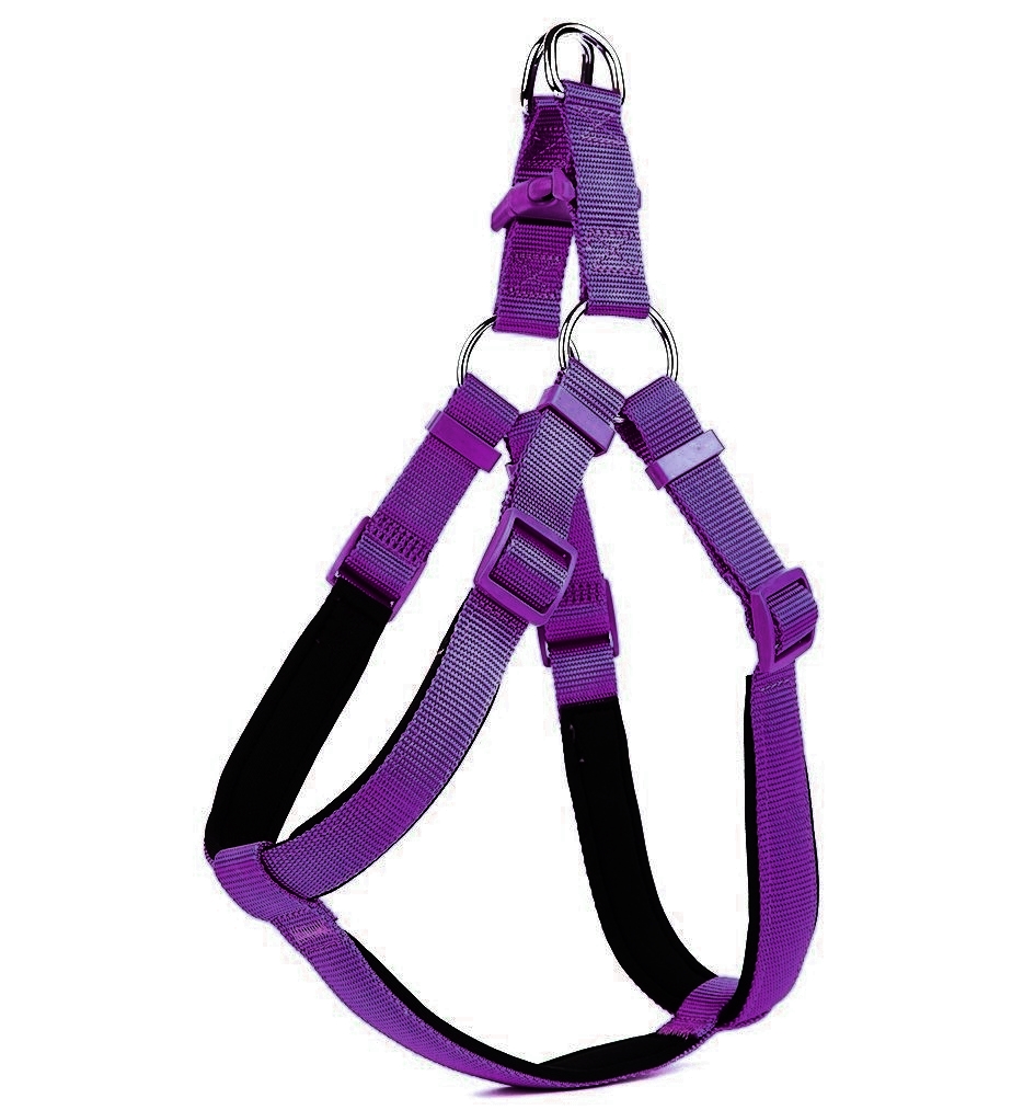 Köpek Bel Tasması 85 cm Mor - Görsel 2