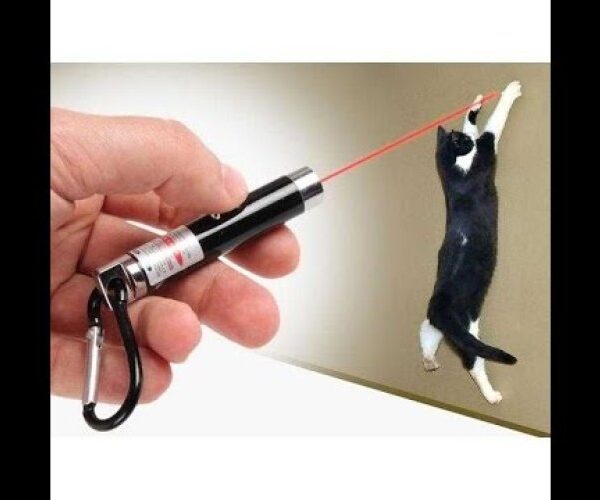 4 Yedek Başlıklı Pilli Kedi Oyuncağı Lazer lık