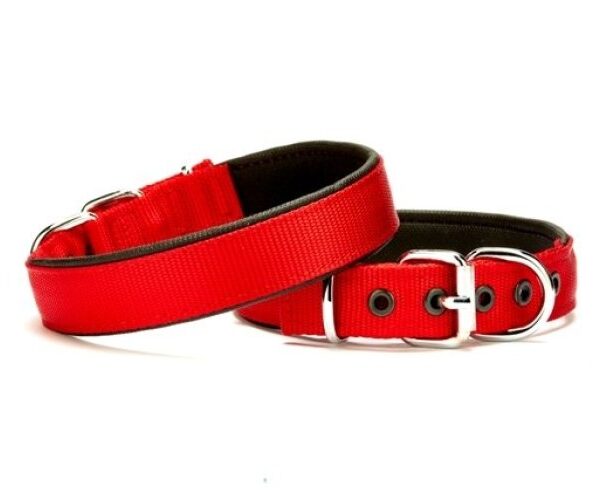 Softlu Köpek Boyun Tasması 2 cm x 40 cm Kırmızı