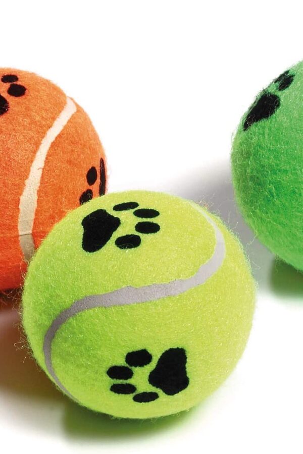Köpek Oyuncağı Sert Tenis Topu 6.5 cm