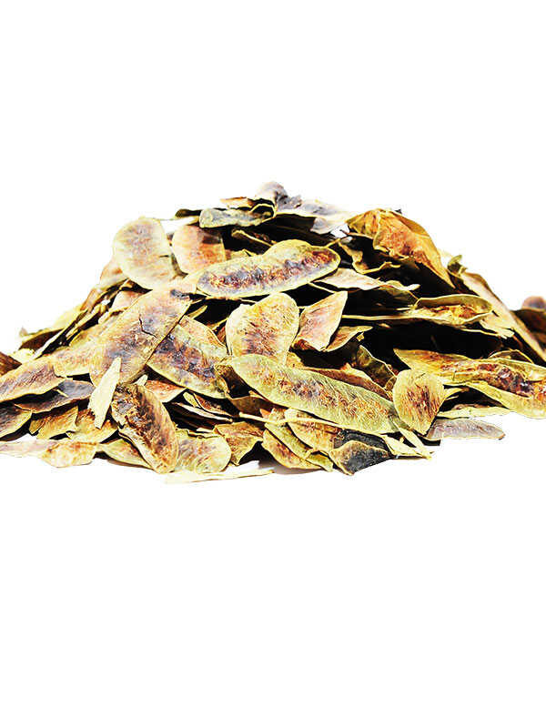Açlık Otu Erkek Sinameki Doğal 100 Gr Paket