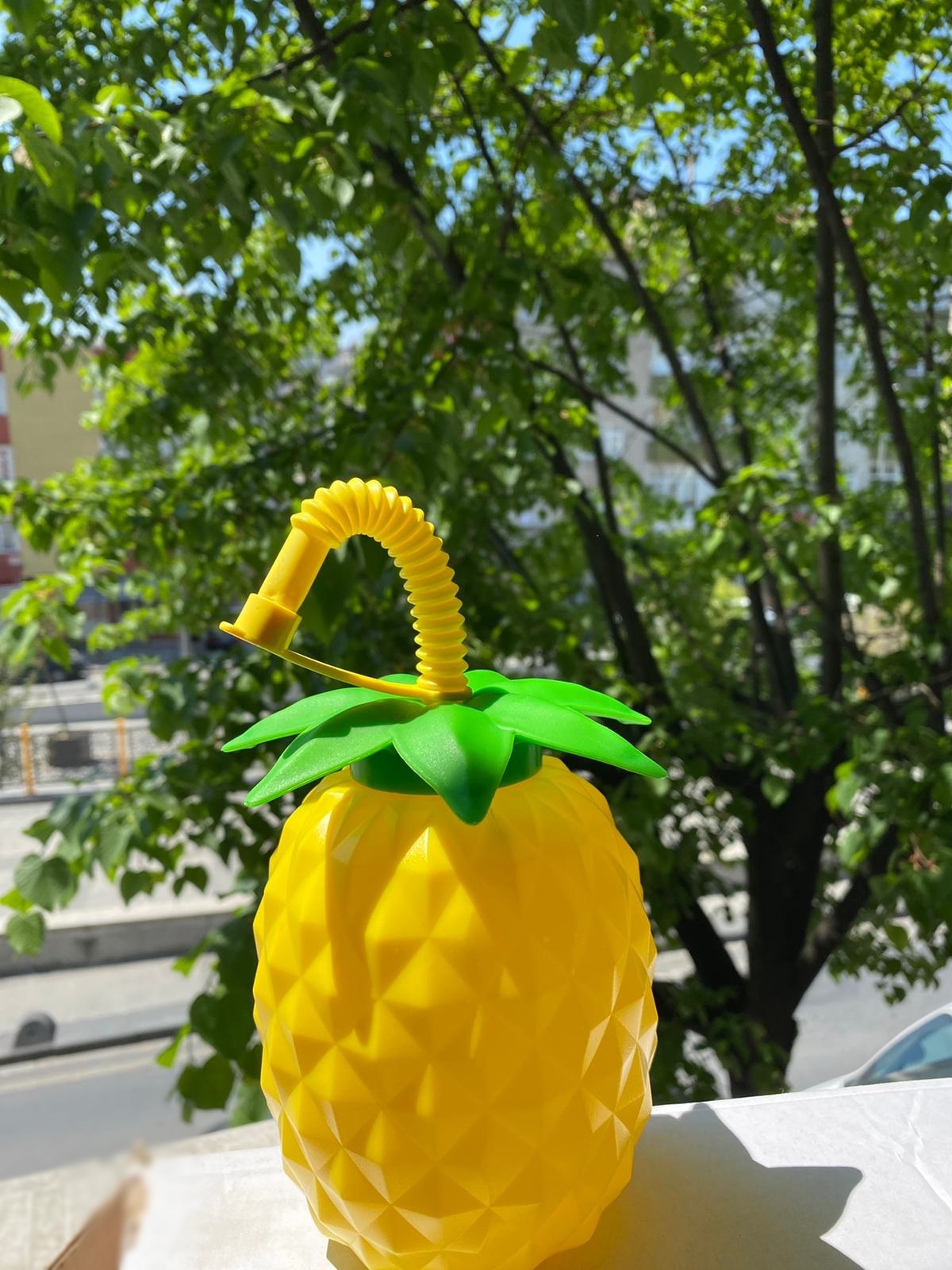 Ananas Pipetli Suluk - Görsel 2