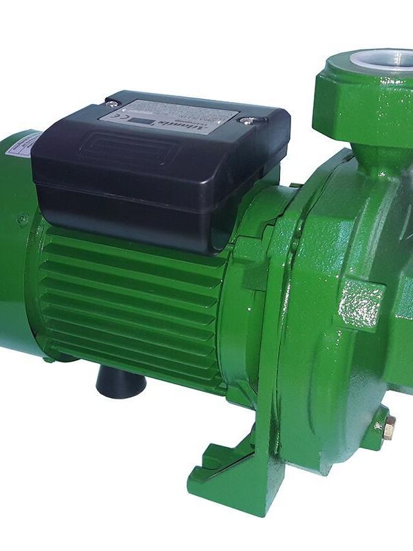 Atlantis Blu DMLA 30-1.5M 2 HP Tek Kademeli Basınçlı Santrifuj  Pompası 220V