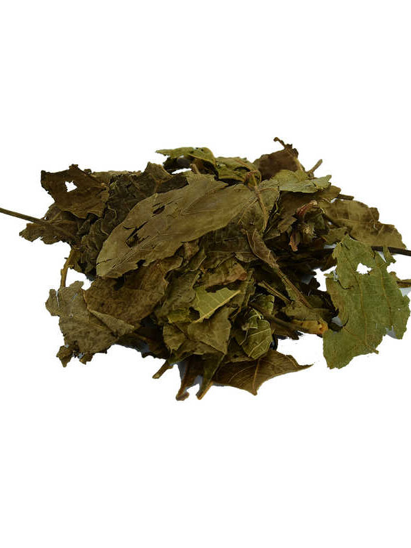 Ceviz Yaprağı Doğal 100 Gr Paket