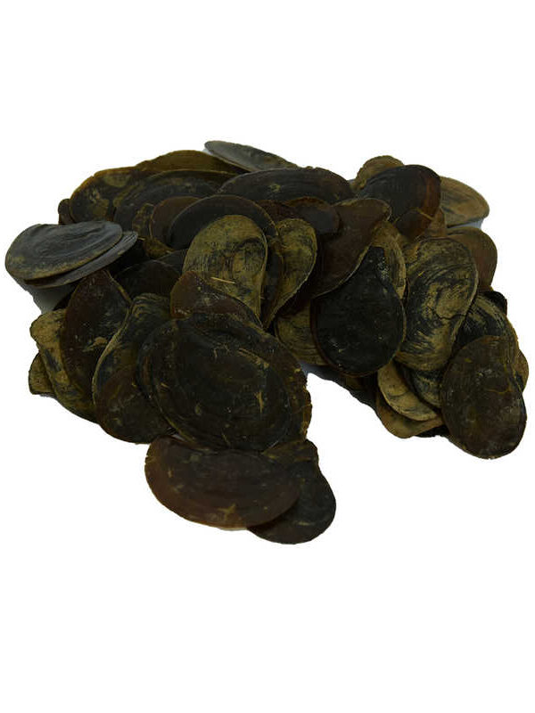 Cin Tırnağı 100 Gr Paket