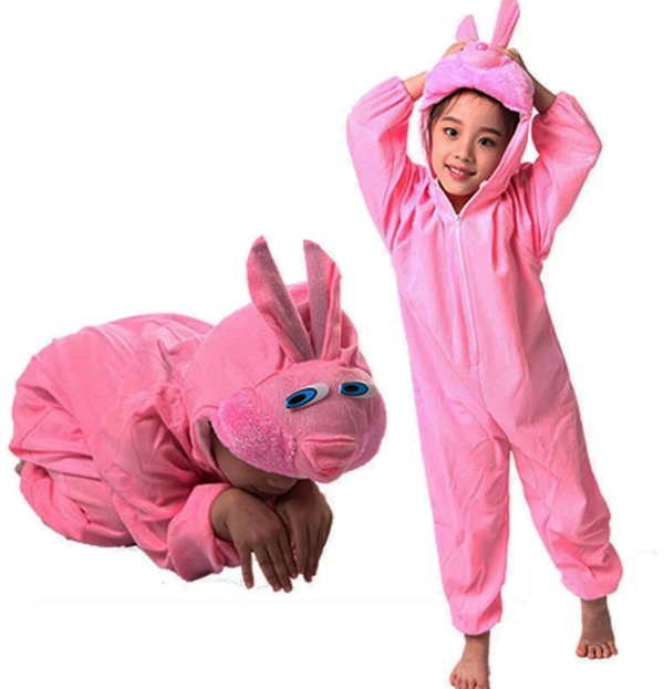 Çuk Tşan Kostümü Pembe Renk 6-7 Yaş 120 cm