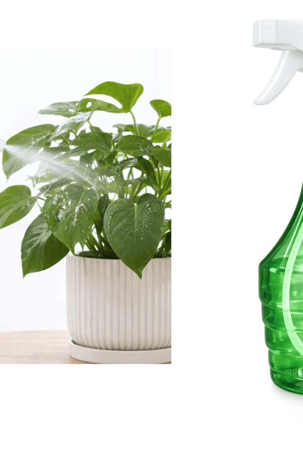 Çok Amaçlı Fısfıs Çiçek Sulama Şeffaf Su Sprey Şişesi 500 ML