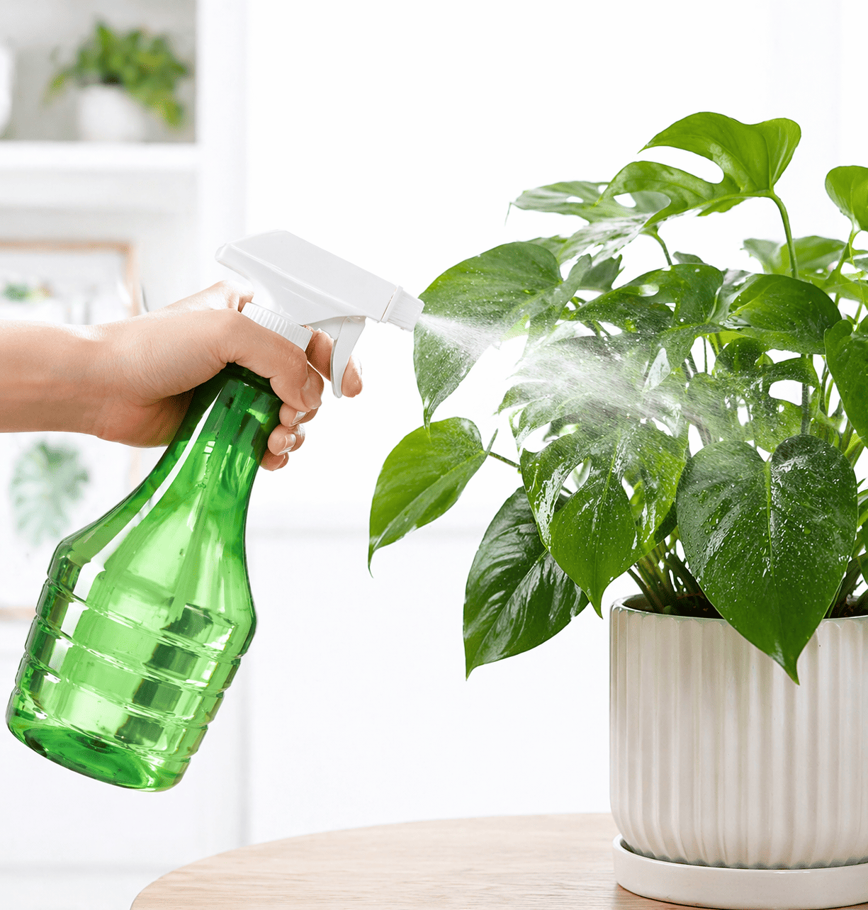 Çok Amaçlı Fısfıs Çiçek Sulama Şeffaf Su Sprey Şişesi 500 ML - Görsel 5