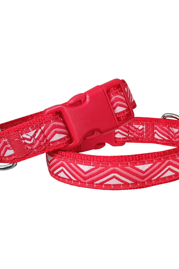 Daa Desenli Dokuma Köpek Boyun Tasması 2 cm x 31-47 cm Kırmızı
