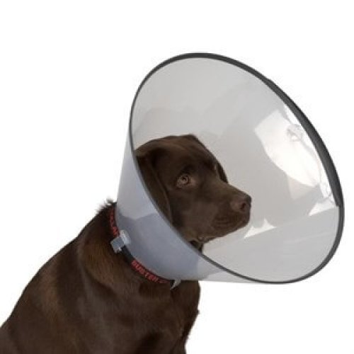 Köpek Yakalığı 20 CM - Görsel 2