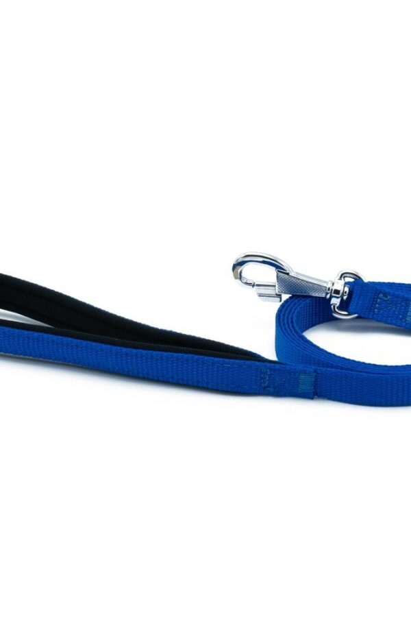 Köpek Gezdirme Kayışı 1,5*160cm Mi