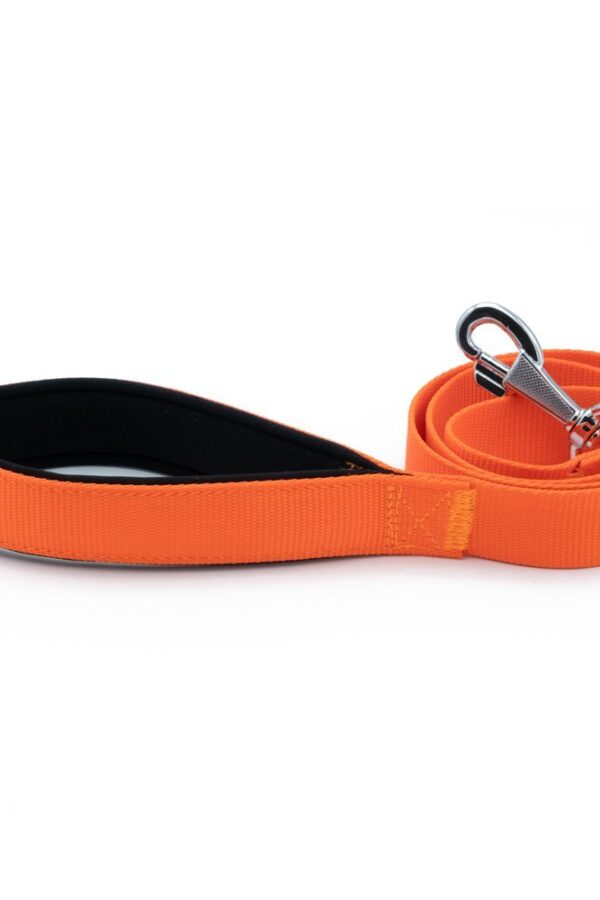 Köpek Gezdirme Kayışı 3*100 cm Tcu