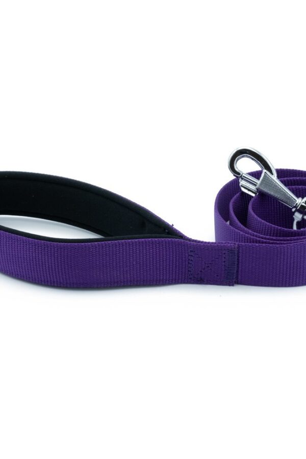 Köpek Gezdirme Kayışı 3*100 cm Mor