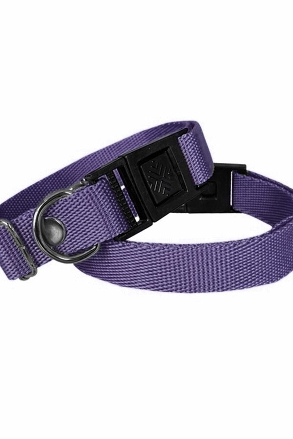 Köpek Tasması Dokuma 2 cm - Min: 30 cm - Max: 50 cm Mor