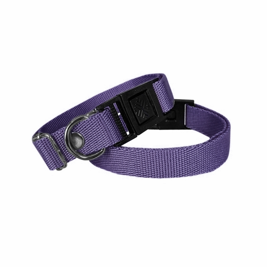 Köpek Tasması Dokuma 2 cm - Min: 30 cm - Max: 50 cm Mor