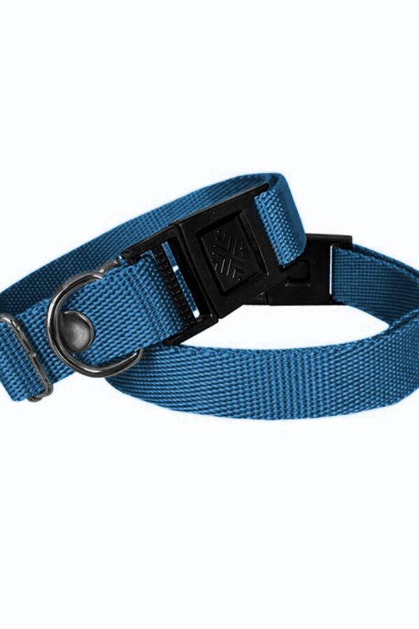 Köpek Tasması Dokuma 2 cm - Min: 30 cm - Max: 50 cm Mi