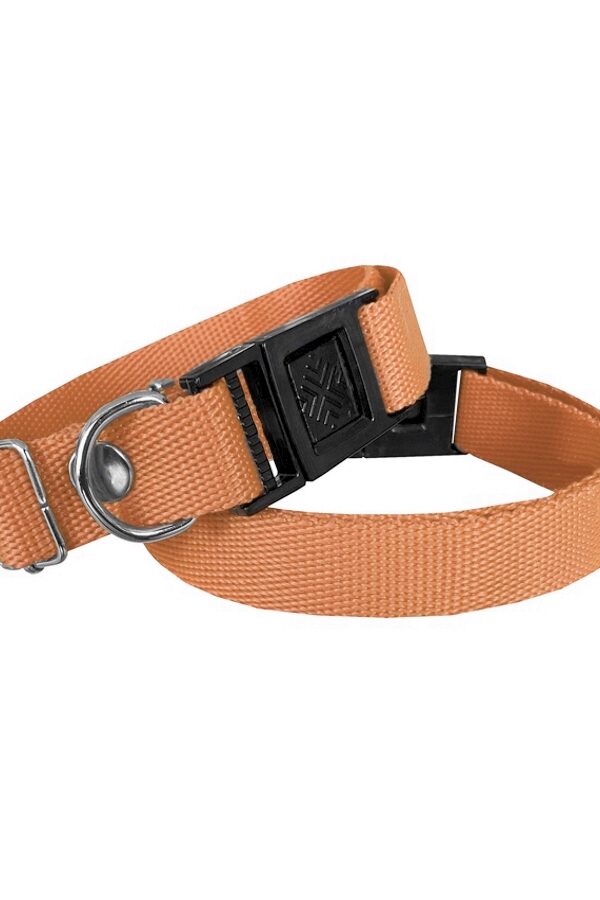 Köpek Tasması Dokuma 2 cm - Min: 30 cm - Max: 50 cm Tcu