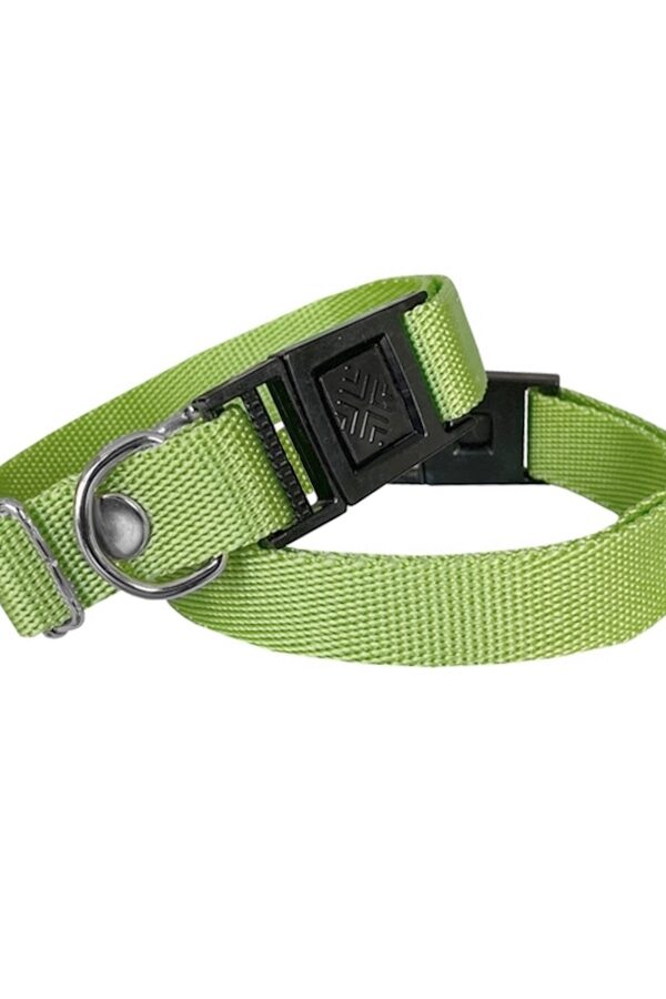 Köpek Tasması Dokuma 2 cm - Min: 30 cm - Max: 50 cm Yeşil