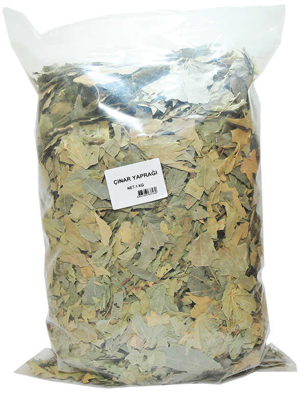 Doğal Çınar Yaprağı 1000 Gr Paket