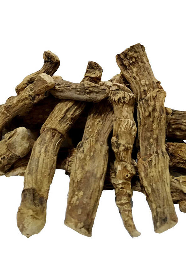 Doğal Hazanbel Kökü 50 Gr Paketli