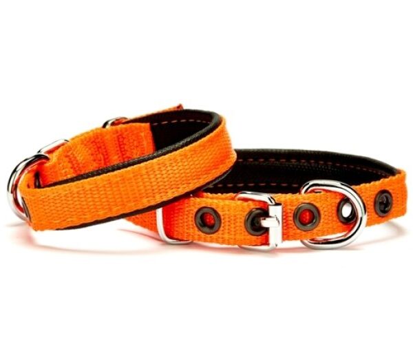 Softlu Köpek Boyun Tasması 1,5 cm x 35 cm Tcu