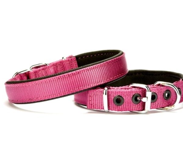 Softlu Köpek Boyun Tasması 2 cm x 40 cm Mor
