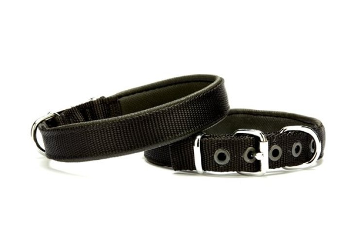 Dokuma Softlu Köpek Boyun Tasması 2 cm x 45 cm Siyah