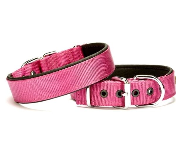 Köpek Tasması Softlu 3 cm x 65 cm Mor