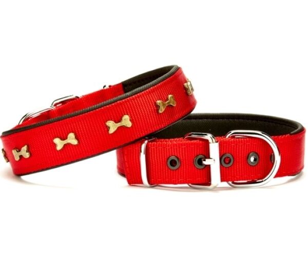 Softlu Metal Kemik Desenli Köpek Tasma 3 cm x 65 cm Kırmızı