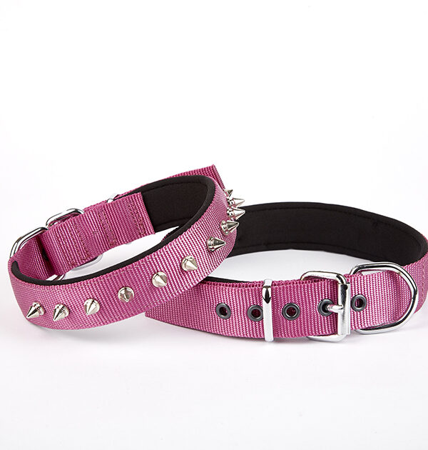 Çivi Desenli Köpek Tasması 2,5*60 cm Mor