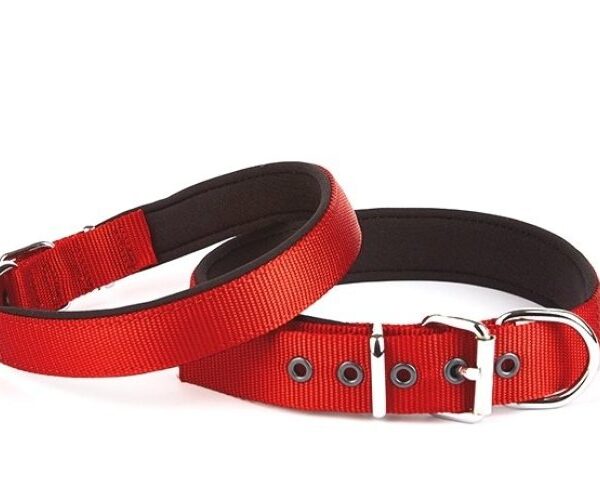 Seri Dokuma Köpek Boyun Tasması 5x50-60cm Kırmızı