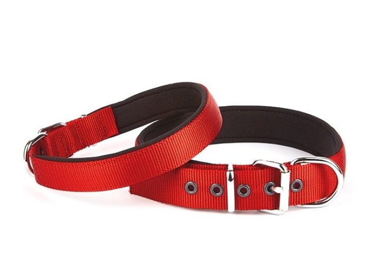 Seri Dokuma Köpek Boyun Tasması 4x52-60cm Kırmızı