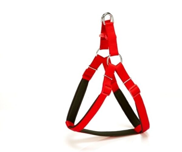 Köpek Bel Tasması 70cm Large Kırmızı
