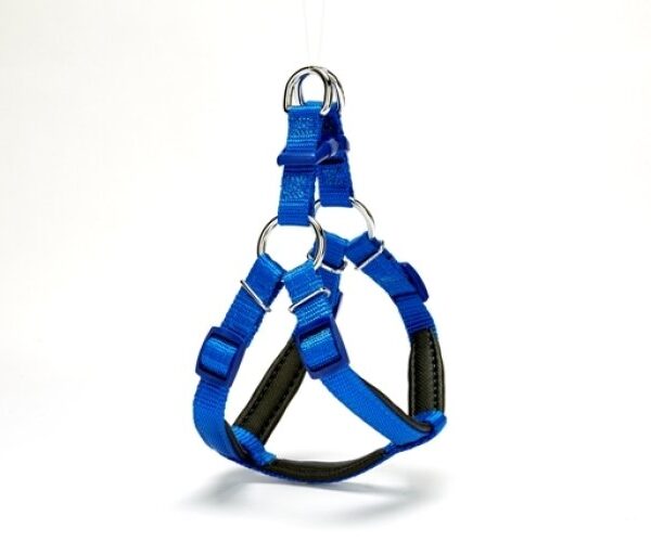 Köpek Göğüs Tasması 35cm XSmall