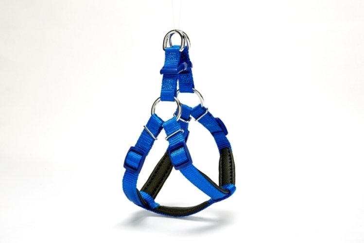 Köpek Göğüs Tasması 45cm Small