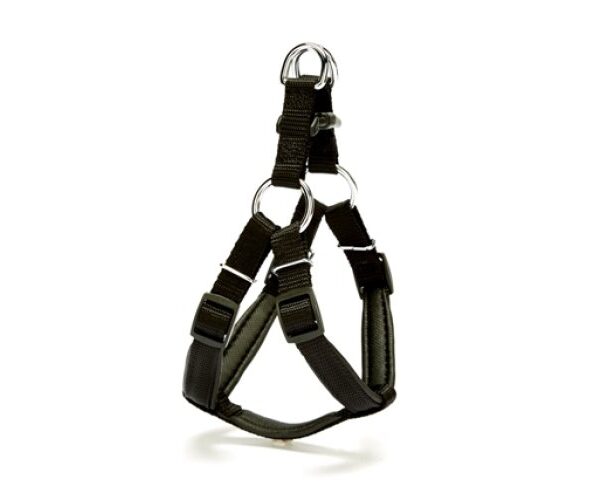 Köpek Göğüs Tasması 35cm X Small