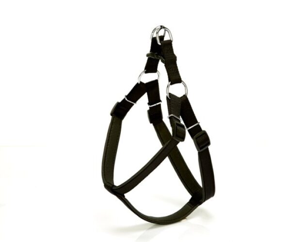 Köpek Bel Tasması 95cm XX-Large Siyah