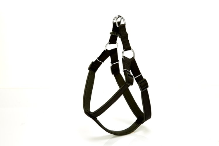 Köpek Bel Tasması 95cm XX-Large Siyah