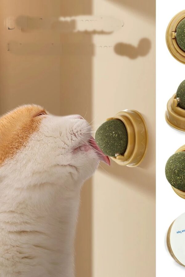 Duvara Yapışan Dönen Kedi Nanesi Cat Oyun Topu Doğal Kedi Oyuncağı