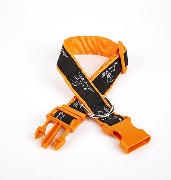 Köpek Desenli Dokuma Köpek Boyun Tasması 3 cm x 36-60 cm Tcu
