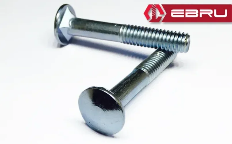 Ebru Kasa Civata 1/4x30 - 20 Adet