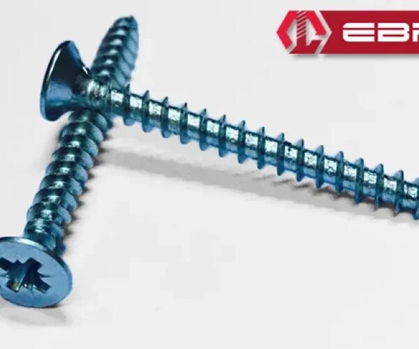 Ebru YHB Sunta Vidası 4x20 - 100 Adet