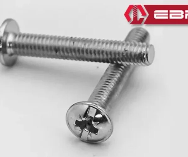 Ebru Yuvarlak Yıldız Başlı RYSB Kulp Vidası, Civata M4x10 - 500 Adet