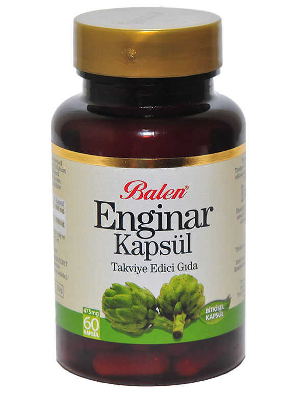 Enginar 60