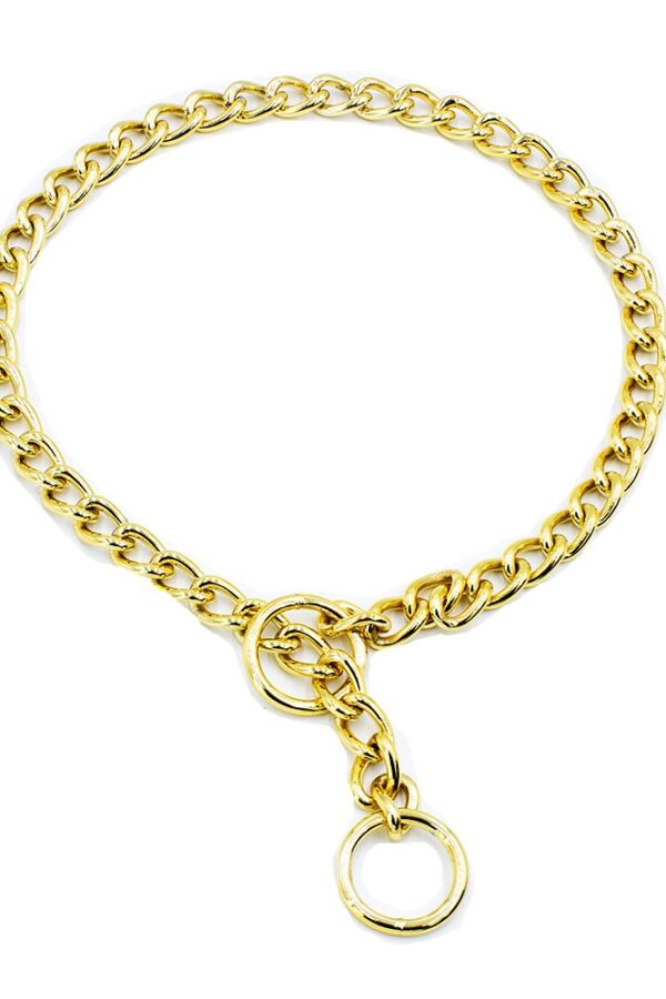 Eğitim Serisi li Köpek Boyun Tasması 3,5x55 cm - Gold