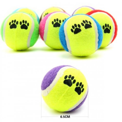 At Getir Köpek Eğitim Topu - Görsel 3